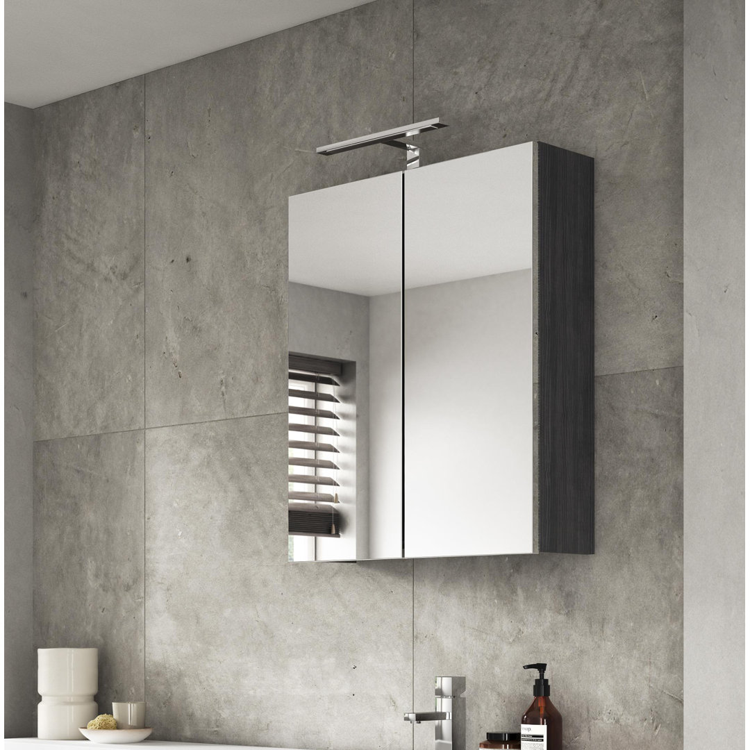 Fusion 600mm W 715mm H Surface Framed Medicine Cabinet Mirror 1 Adjustable