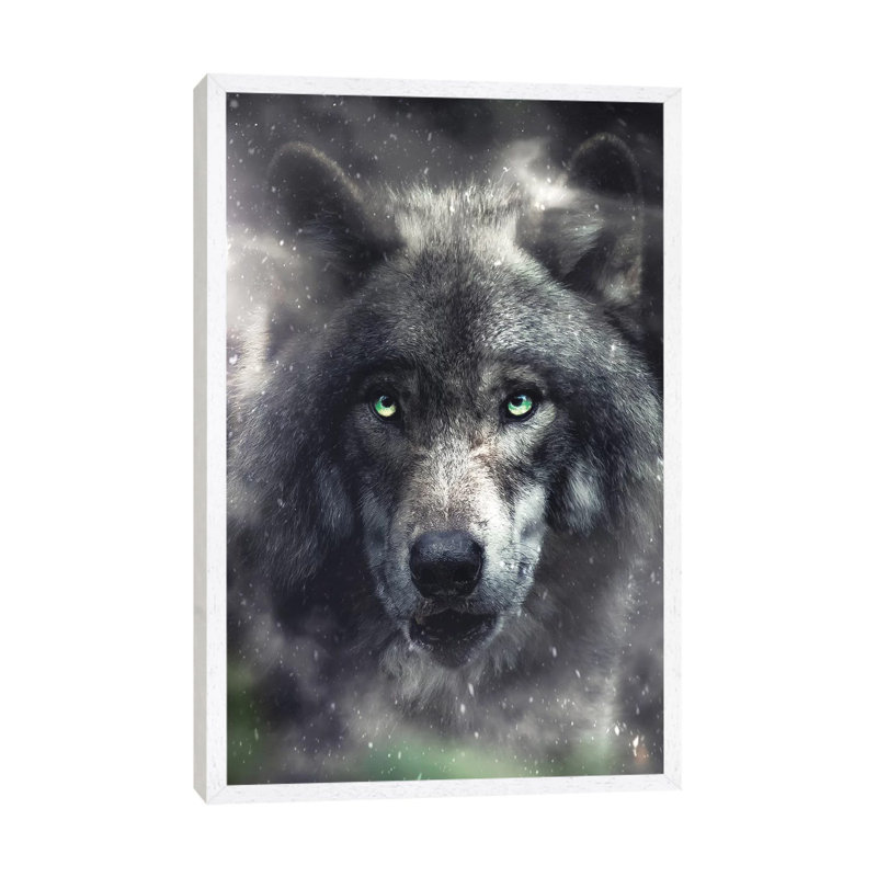 The Hungry Wolf by Zenja Gammer - Print on Canvas, 66.04 cm H x 45.72 cm W, White Framed