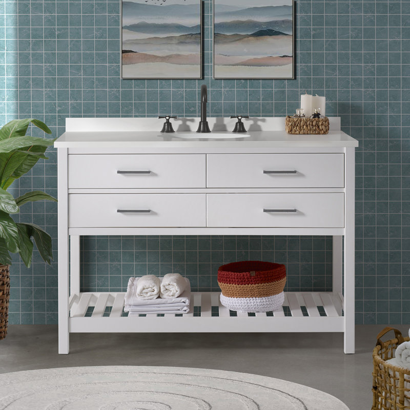Harrison 48" W Modern Shaker Soft Close Doors Vanity Cabinet with Drawers and Open Storage Shelf