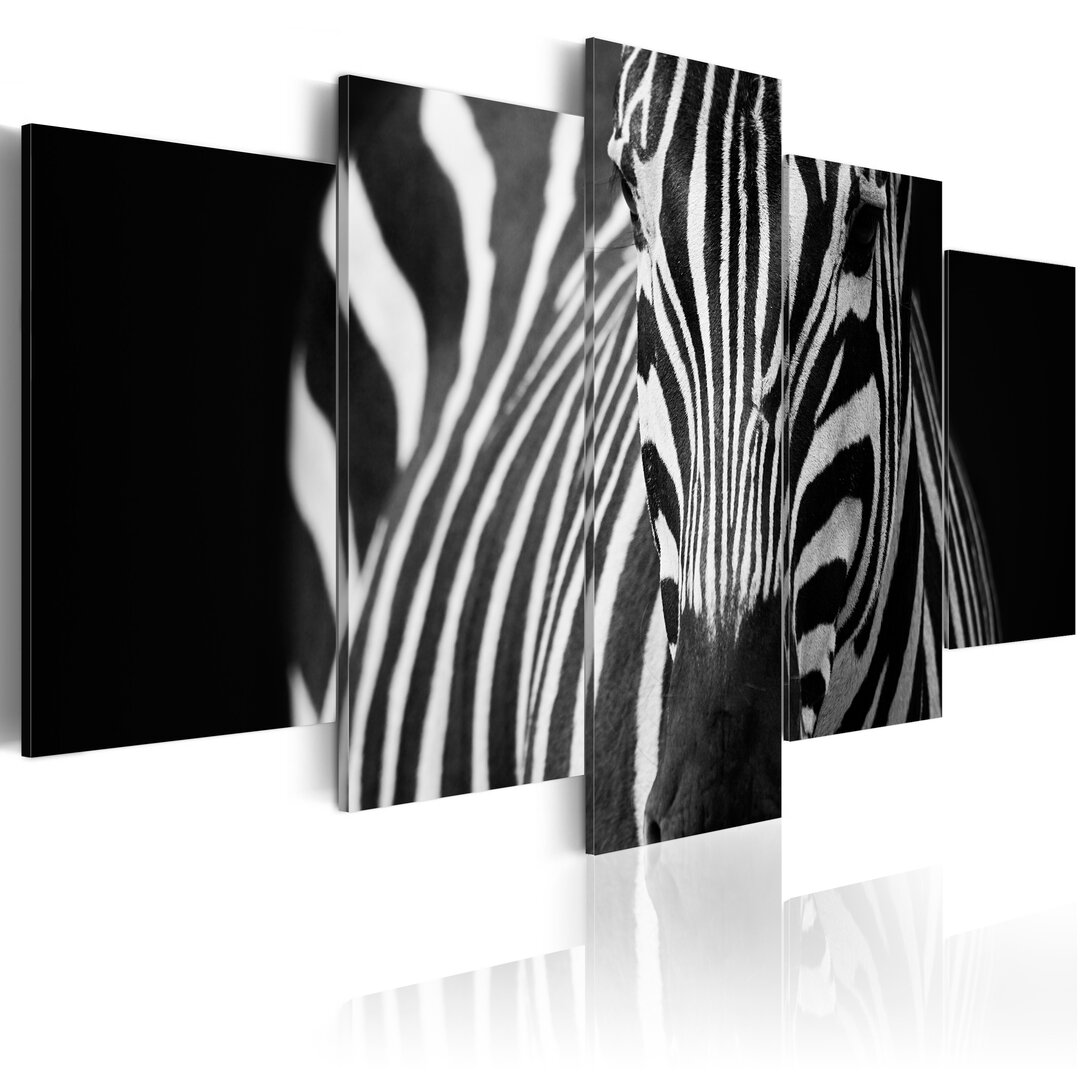 5-tlg. Leinwandbilder-Set Zebra-Look