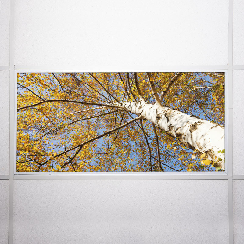 Octo Lights - Fluorescent Light Covers - Flexible Decorative Light Diffuser Panels - Tree - For Classrooms And Offices - Tree 003