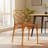 Jakubowski Dynamic Modern Plastic Dining Side Chair with Honeycomb Design-45248532-13704662