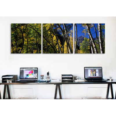 " Aspen Trees With Mountains In The Background, Maroon Bells, Aspen, Pitkin County, Colorado, USA " by Panoramic Images