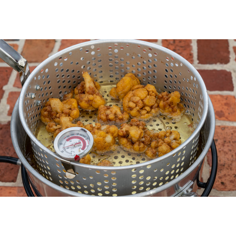 Ensemble de friteuse pour pêche à cuiseur d’extérieur
