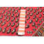 Tapis rouge Anadol 4 pi 4 po x 6 pi 5 po