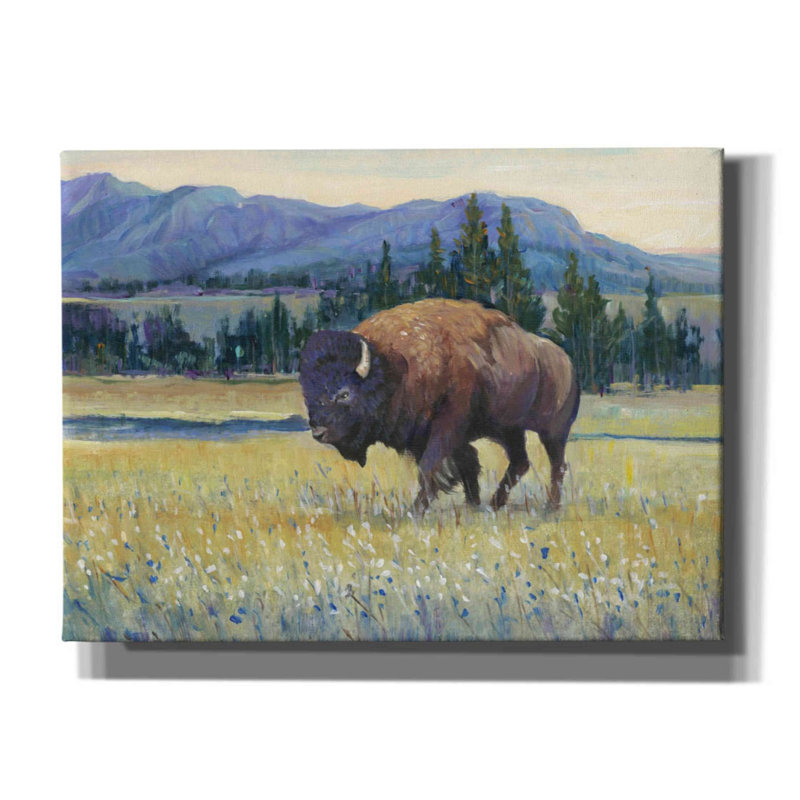«Animals Of The West II» par Tim O'toole, art mural sur toile, H 40 po x l 54 po x P 1,5 po