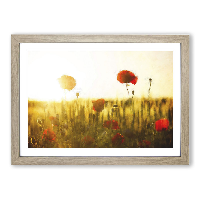 Field of Poppies Vol.5 - Framed Print, 36cm H x 48cm W x 2cm D, Oak Framed