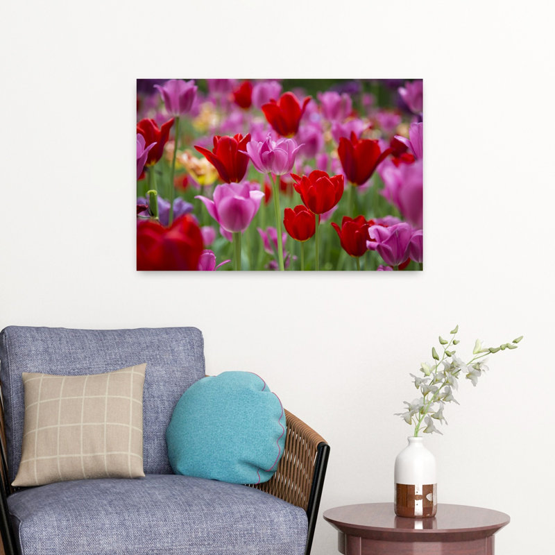 Red And Pink Tulips In A Garden Cantigny Park Wheaton Illinois USA by Richard Day - Wrapped Canvas Print