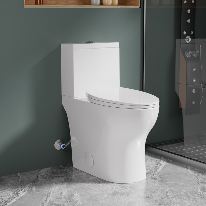 17" Tall 2-Piece Toilet Dual Flush 1.0/1.28 GPF TORNADO Flushing Elongated with Soft-Close Seat
