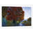 " Summer Brook " by Michael Tienhaara-29175197-72773570-72773292