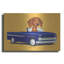 Art mural en métal Trinx «Brown Dachshund Blue Truck» par Danny Gordon-1891790635