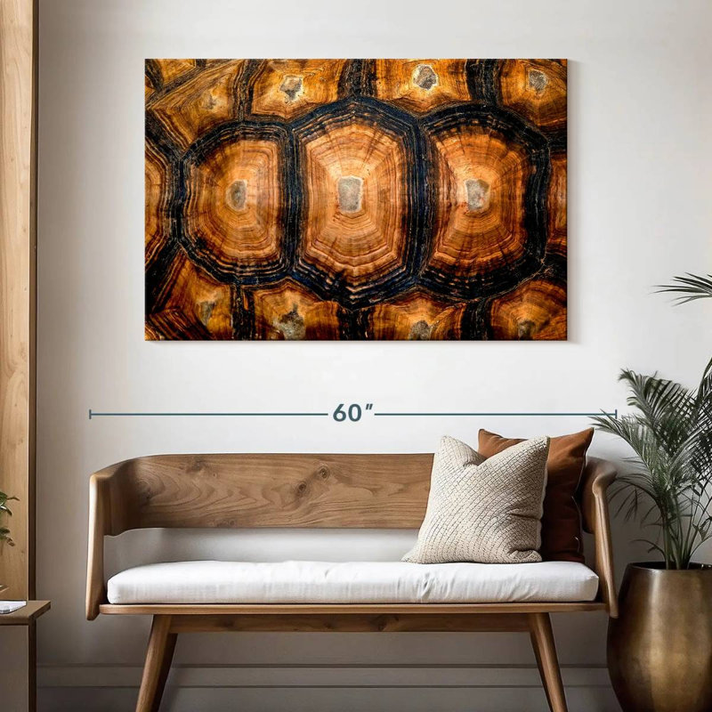 Brampt Turtle Carapace Texture, 32" H x 48" W