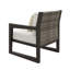 Norrell Outdoor Lounge Chair with Cushions-213299414