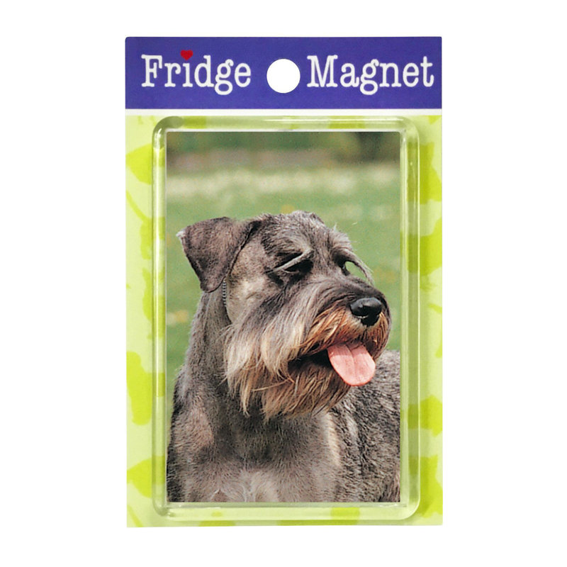 Fridge Magnet