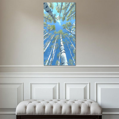  Birch Tree Wall Art, Large Vertical Landscape Canvas Wall Art, Blue Sky Aspen Tree Pictures Wall Decor for Living Room, Modern Nature Birch Tree Forest Painting Prints for Home Hallway 20x40 In
