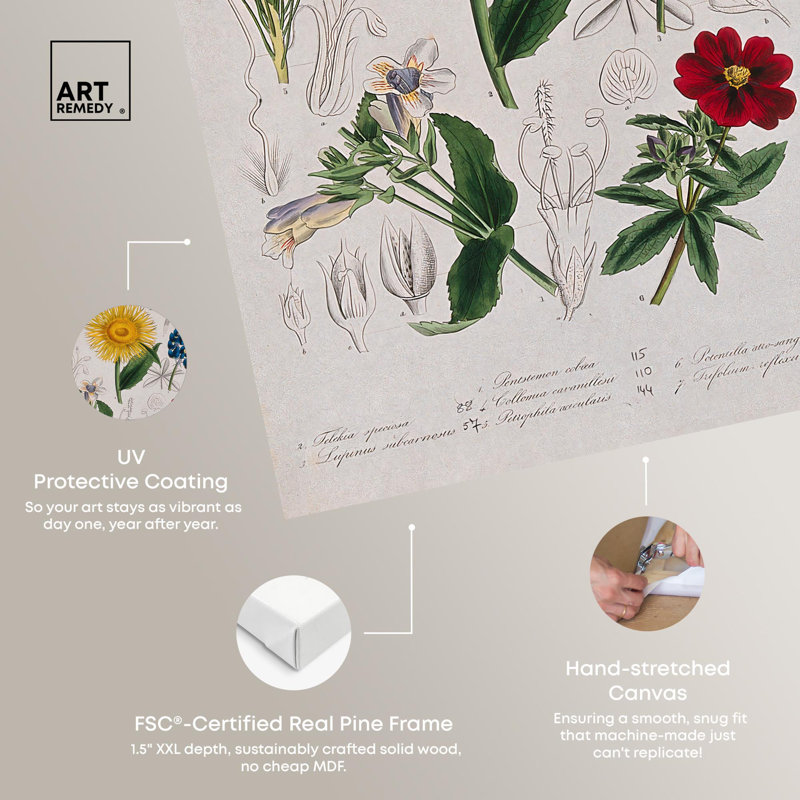 Art Remedy, impressions sur toile, sept plantes de jardin, H 36 po x l 24 po, Toile tendue