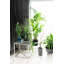 Cherwell Coffee Table