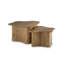 Ensemble de 2 tables basses Abeford
