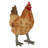 14"H Indoor/Outdoor Standing Hen Statue