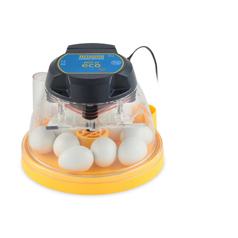 Mini II Eco Manual Turn 10 Egg Incubator with Clear Lid