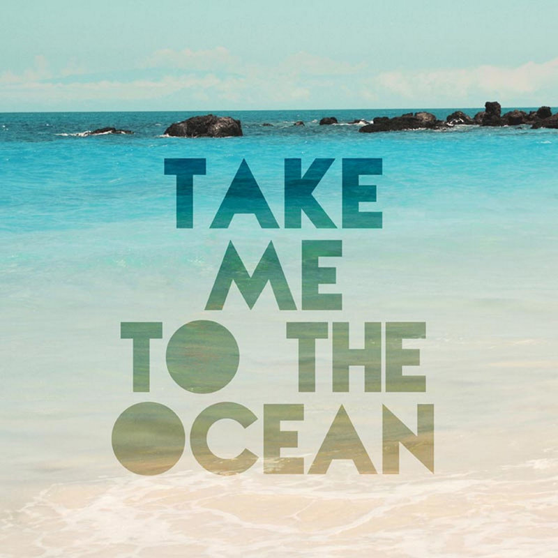 Take Me To The Ocean by Sylvia Cook - Wrapped Canvas Print, 61 cm H x 61 cm W x 3.81 cm D