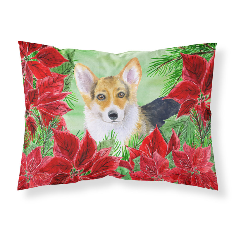 Microfiber, Pembroke Corgi
