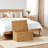 Ludmilla Wicker Trunk-1728654892