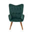 Hollowayville Velvet Armchair