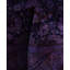 Overdyed One-of-a-Kind 6' 1" X 6' 1" Hand Knotted Area Rug