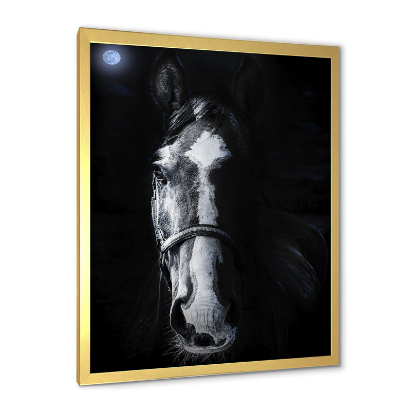 «Horse Staring Sinister» - photographie sur toile, H 32 po x l 16 po x P 1,5 po, Toile encadrée d'or