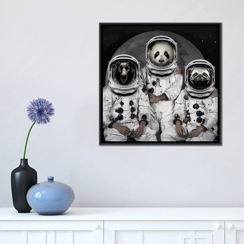« astro animaux », impression sur toile, H 26 po x l 26 po x P 1,5 po, Toile avec cadre noir