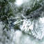 Arbre de Noël 7 pi-1089368650
