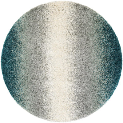  Cloud Soft Touch Shag Rug