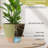 Plant Pots,12/10/9/8/ Inch Large Plastic Self Watering Flower Pots Indoor Outdoor With Drainage Holes, Deep Reservoir,Nursery Planting Pot For Indoor Out Door Plants