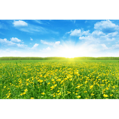 " Flower Field In Spring " by Elenavolkova