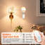 Iron Flush Mounted Sconce