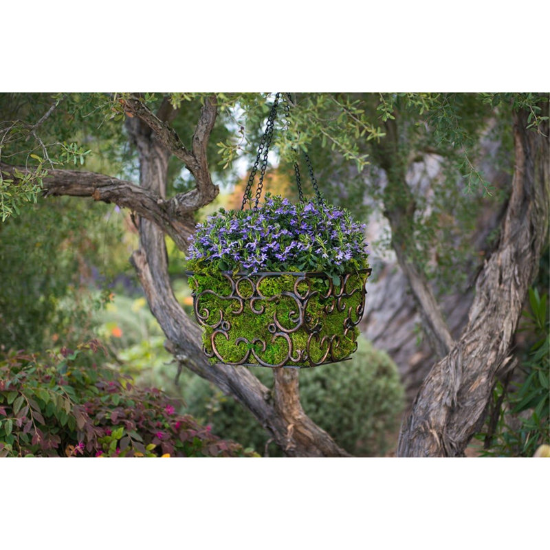 Fresh Green Preserved Sheet Moss for Home Decor Projects