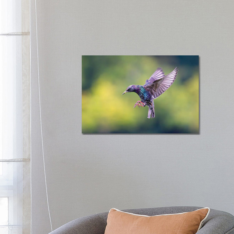 Starling 1 Piece Wrapped Canvas Wall Art, 66.04 cm H x 45.72 cm W x 3.175 cm D