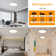 Deshunda 1 - Light 19.7" Simple Round Acrylic LED Flush Mount