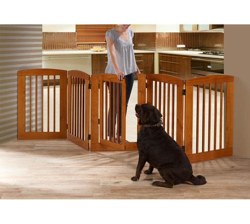 Barrière pour animaux Daniella, Moyen (H 24 po x L 72 po x L 0,75 po), Blanc