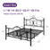 Anterrio Metal Open-Frame Bed with Butterfly Pattern Design Headboard and Footboard
