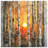 Birch Trees Sunset Bedding Sunset Bedspread Nature-125233244