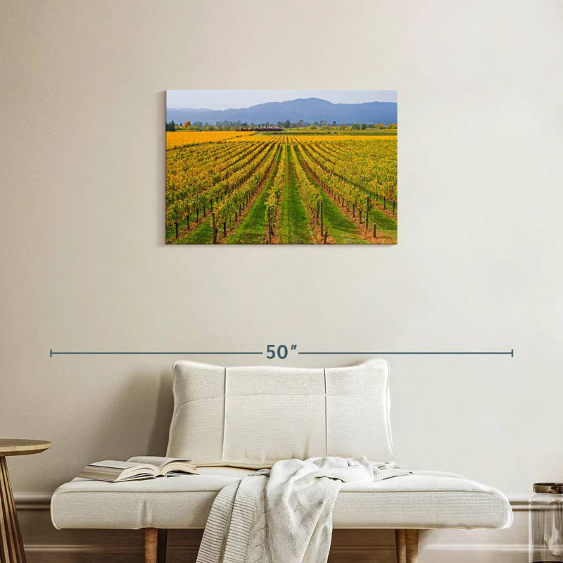 Alvord Vast Napa Valley Winery, H 20 po x l 30 po