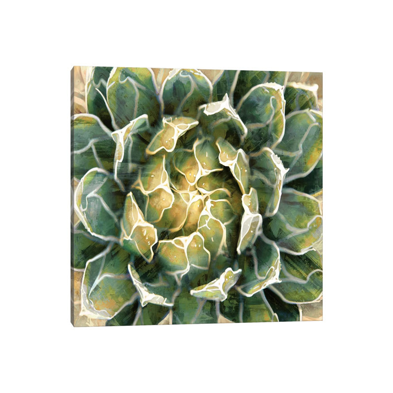 Succulent III 1 Piece Wrapped Canvas Wall Art, 93.98 cm H x 93.98 cm W x 3.175 cm D