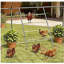 Chost Roost for Coop, Jungle Gym Roosting Bar, 55 po x 33,75 po
