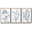 Ensemble de 3 pièces botaniques antiques encadrées sur toile IV-97759901-97759899