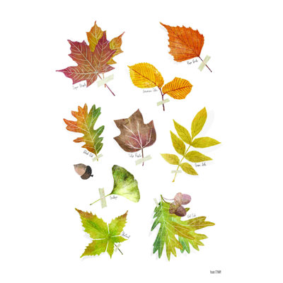 Feuilles d'automne