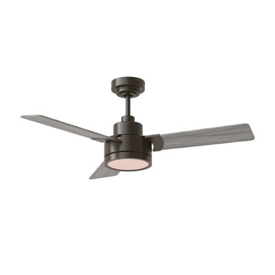 Ebie 44'' Ceiling Fan with LED Lights