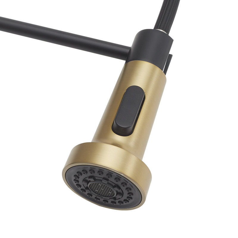 Belfry Kitchen Ailsa Kitchen Faucet, Matte Black/Gold