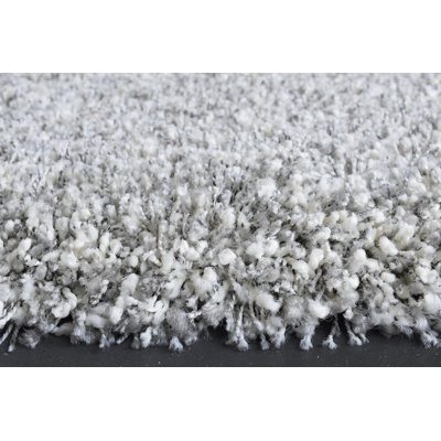 Adamell Shag Area Rug